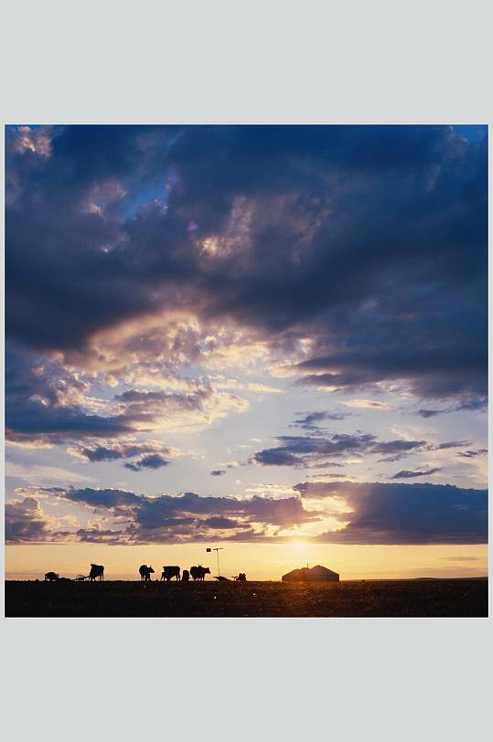 骆驼夕阳大自然风光摄影图