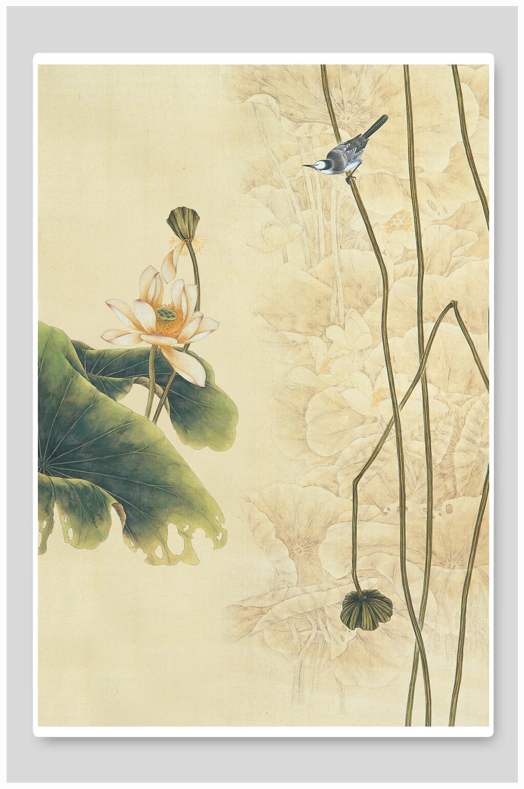 花朵小鸟黄色荷叶中国风工笔画背景素材