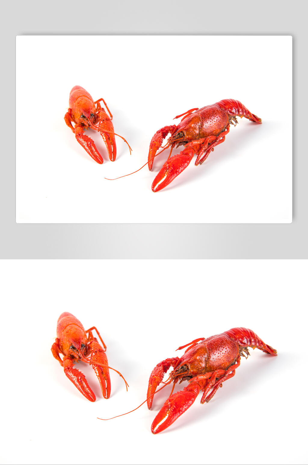 极简白底麻辣小龙虾摄影图素材