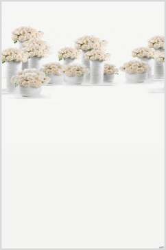 鲜花盆栽花卉背景摄影图片