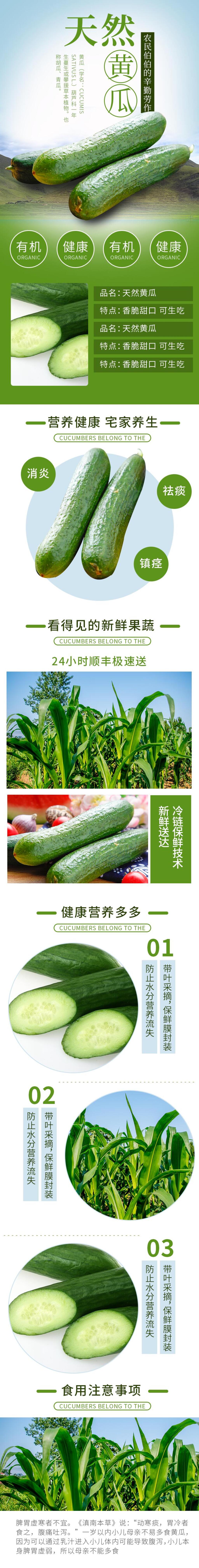 天然黄瓜蔬菜电商详情页素材
