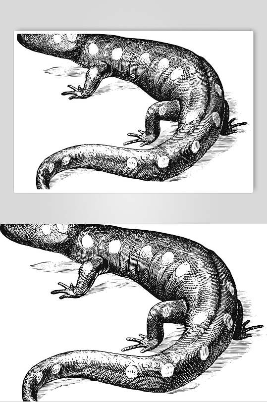 鳄鱼黑色简约动物素描手绘矢量素材