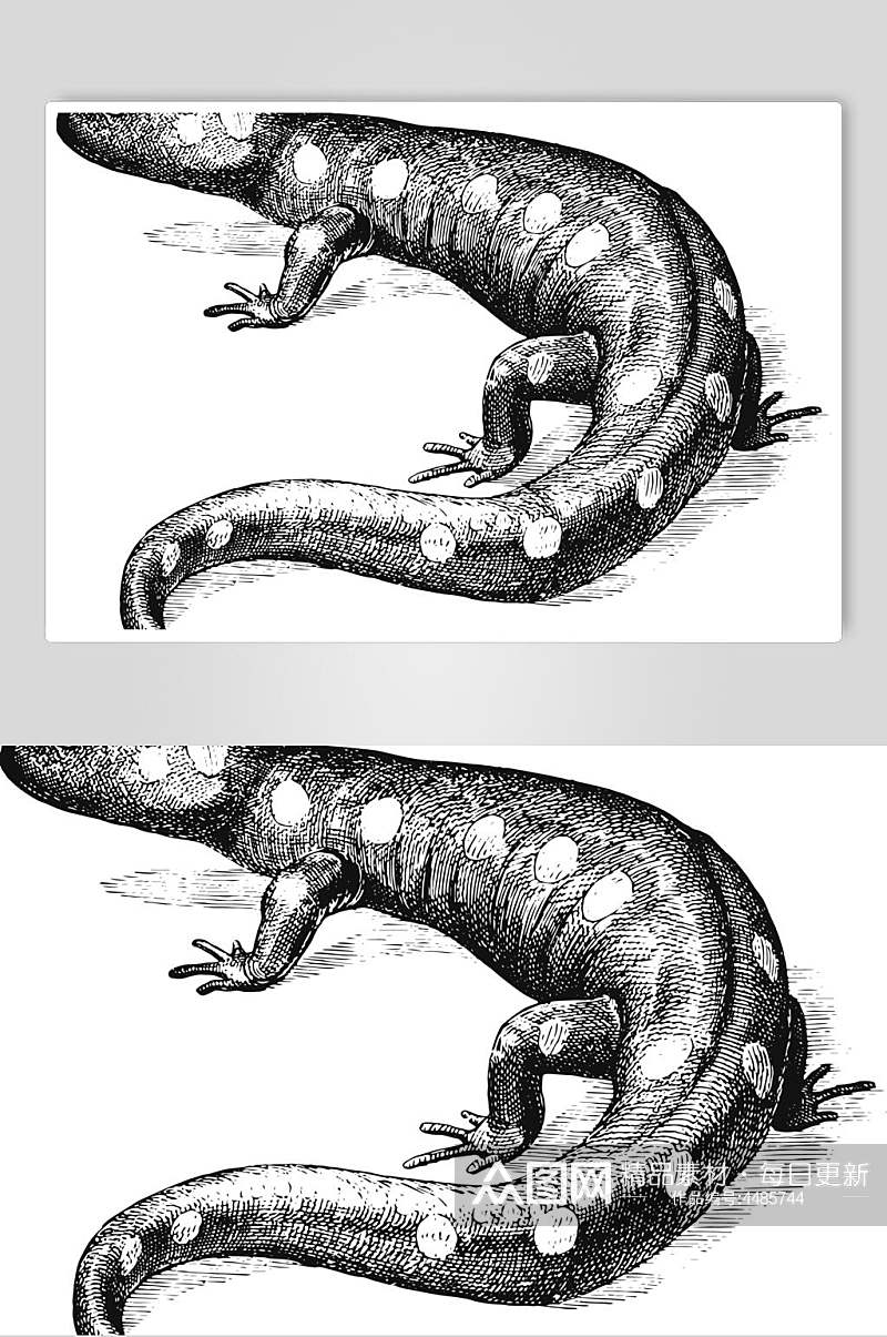 鳄鱼黑色简约动物素描手绘矢量素材素材
