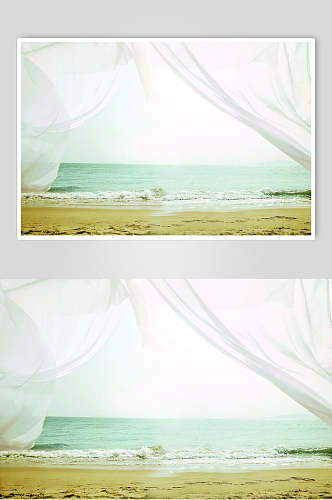 阳光沙滩花卉背景摄影图片