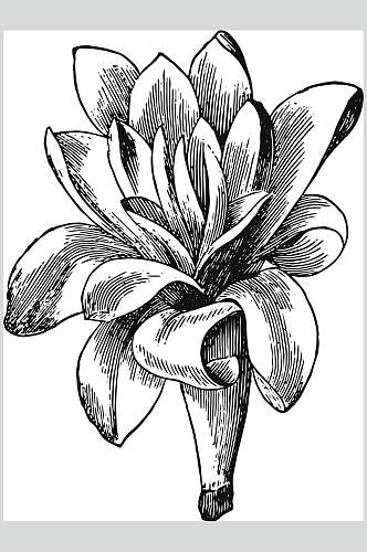 素雅黑色典雅植物花卉手绘矢量素材