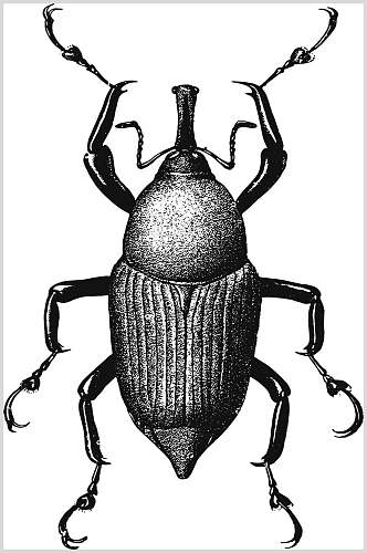 昆虫黑色简约动物素描手绘矢量素材
