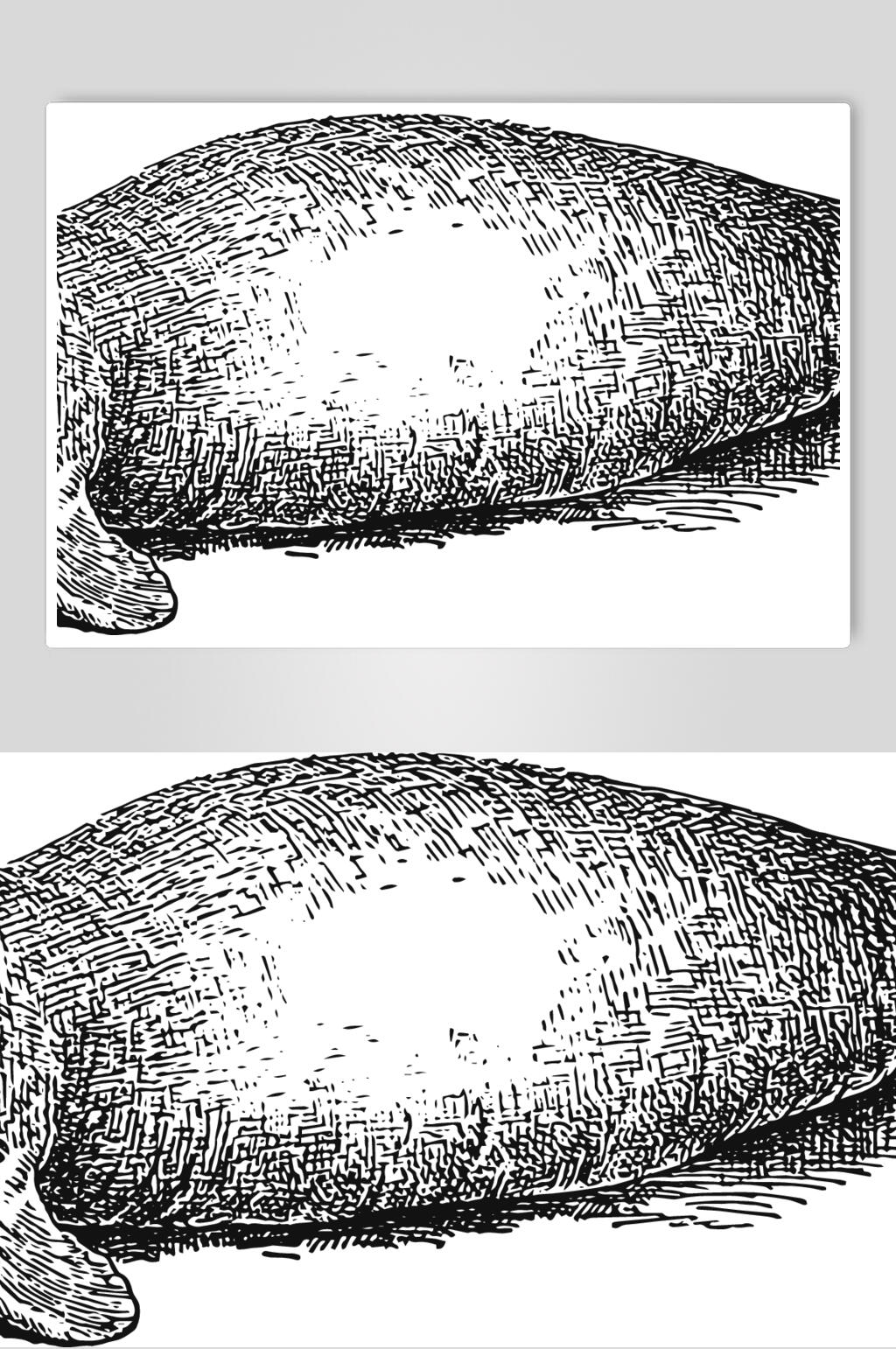 河豚动物素描手绘矢量素材素材