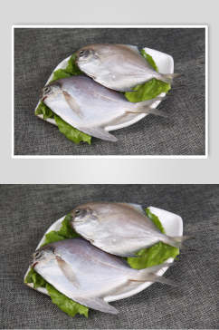 扁鱼火锅配菜高清摄影图片