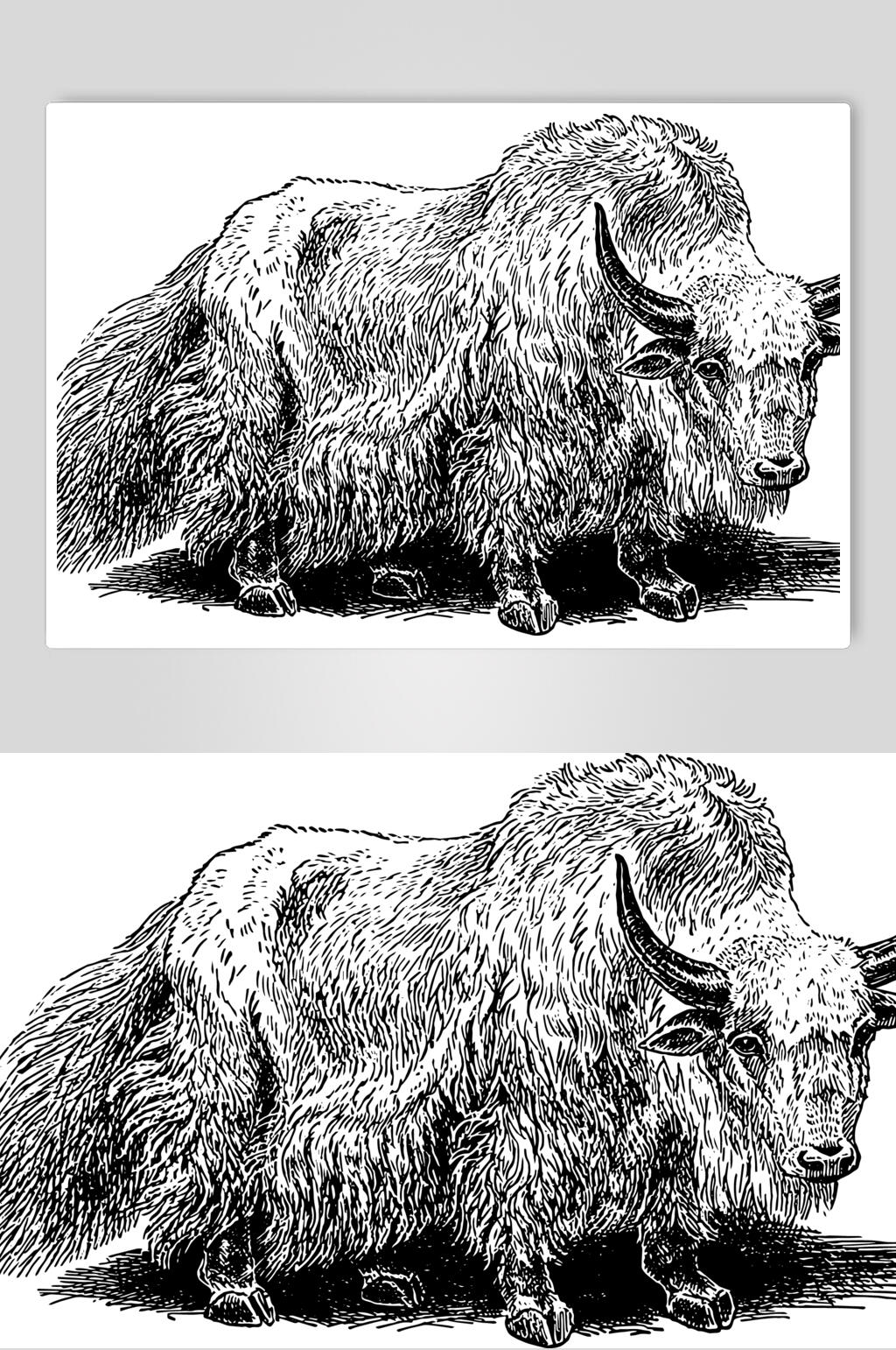 山羊动物素描手绘矢量素材素材