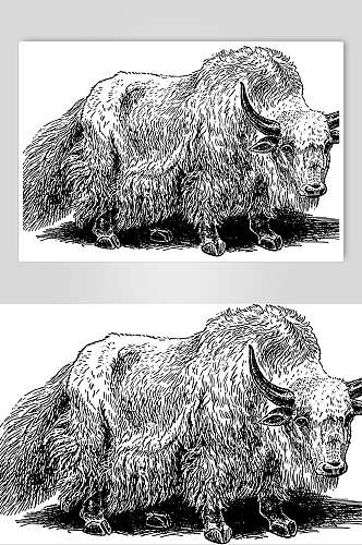 山羊动物素描手绘矢量素材