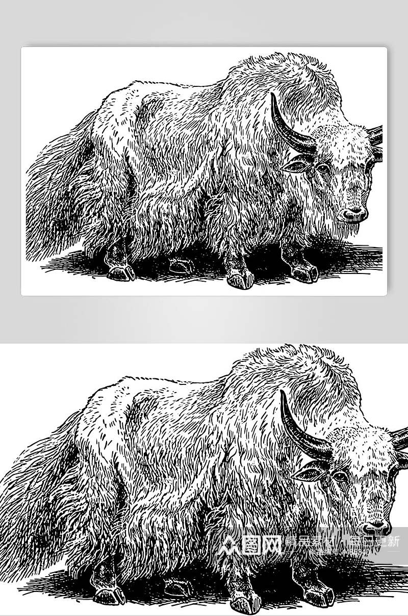 山羊动物素描手绘矢量素材素材