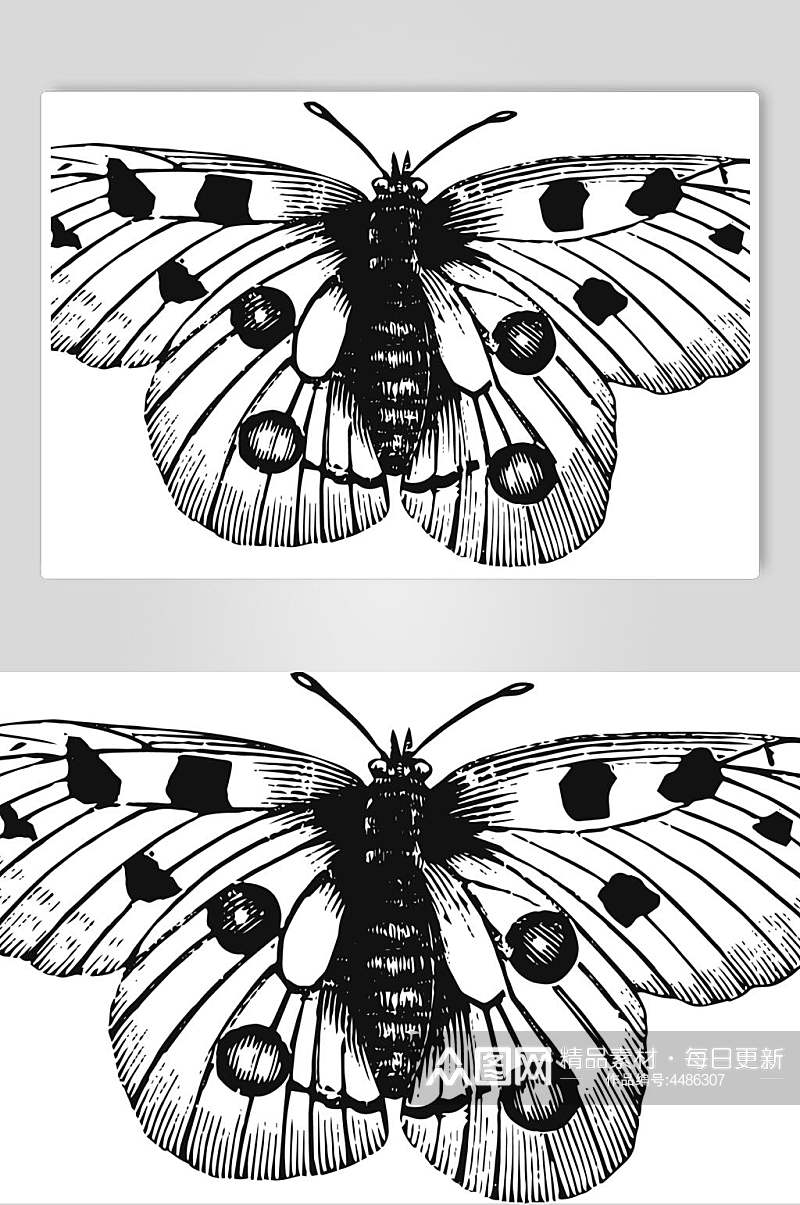 蝴蝶黑色简约动物素描手绘矢量素材素材