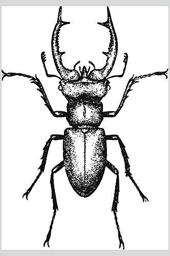 大虫子动物素描手绘矢量素材