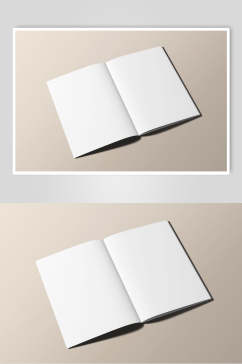 白色创意书籍贴图样机