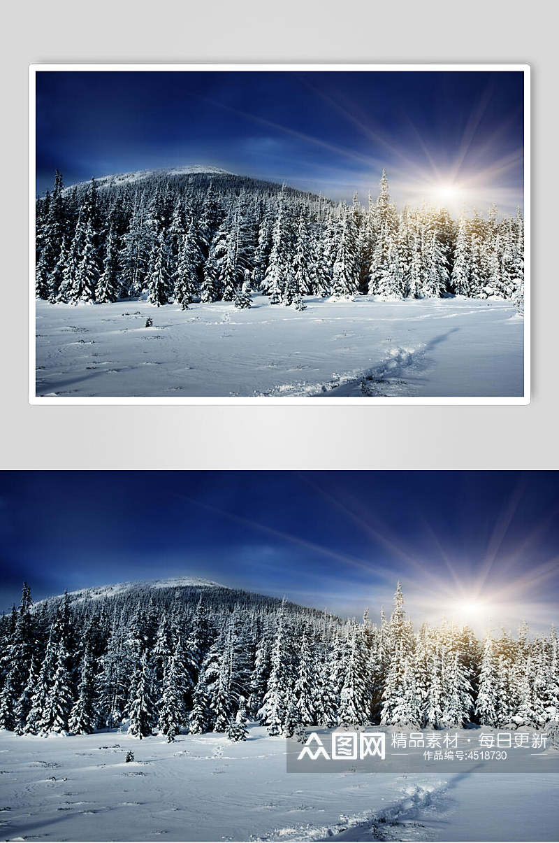 树木阳光冬季雪景自然风光图片素材