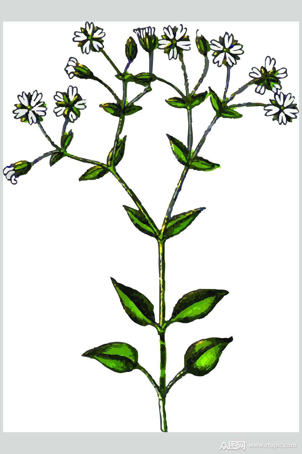 叶子绿色手绘清新线稿植物矢量素材素材