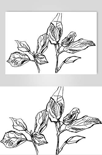 叶子手绘黑色线稿植物矢量素材