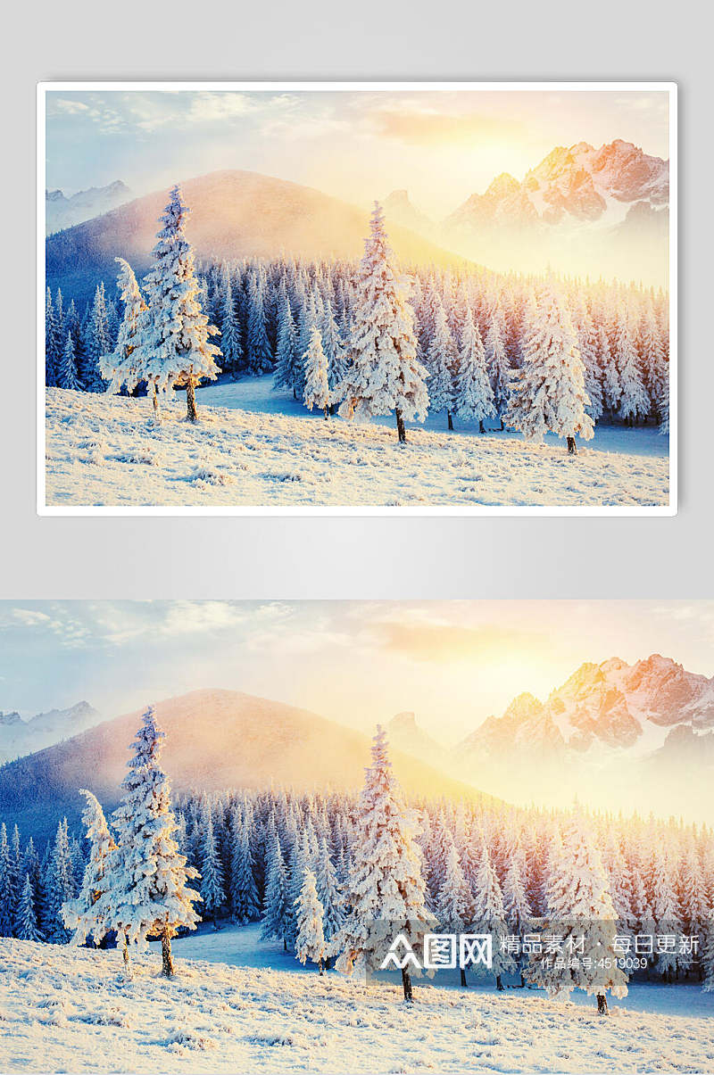 树木阳光冬季雪景自然风光图片素材