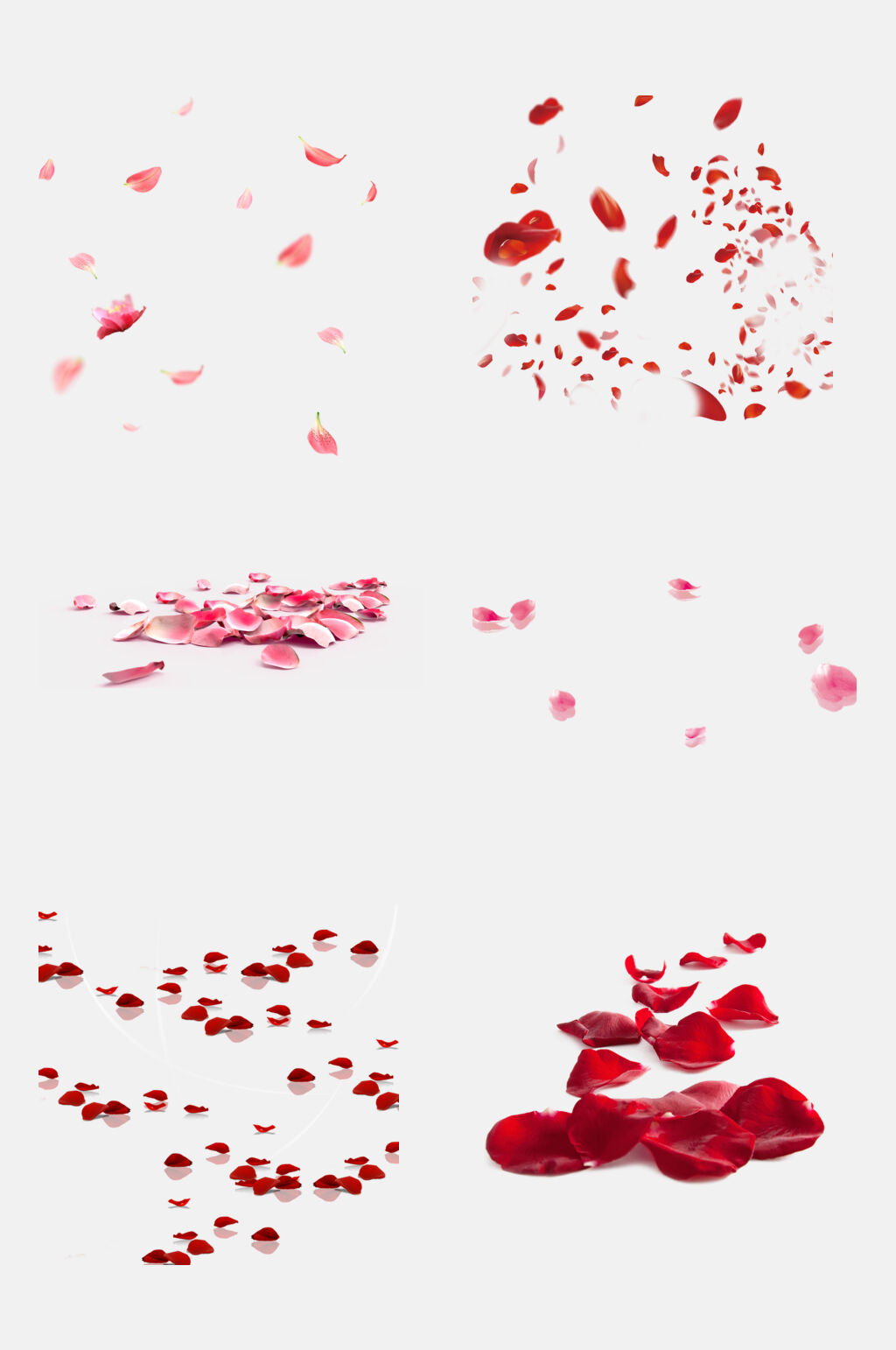 玫瑰花花瓣免抠素材素材