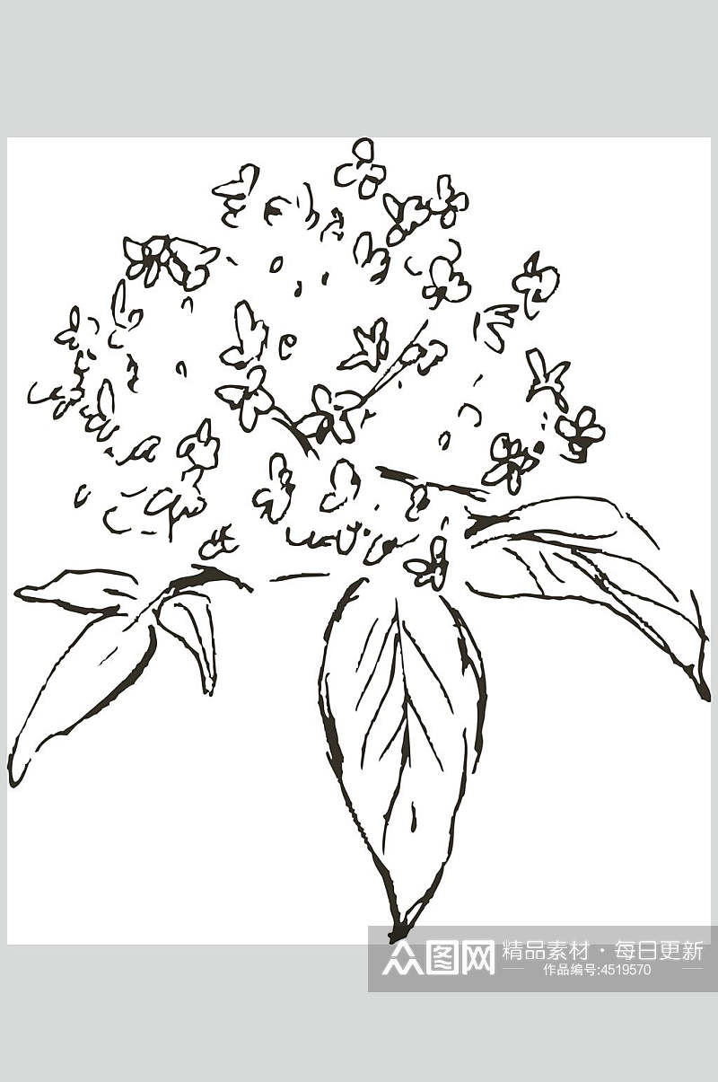叶子黑色手绘清新线稿植物矢量素材素材