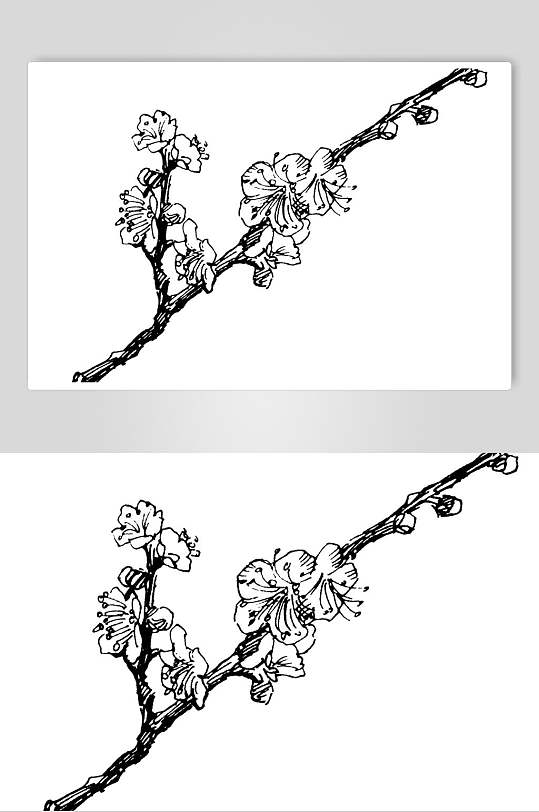 树枝黑色手绘简约线稿植物矢量素材