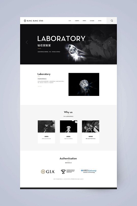 简约珠宝钻石网页设计