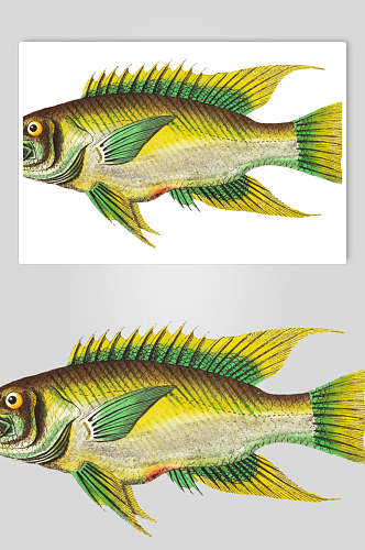 绿黄渐变小鱼清新复古鱼类矢量素材