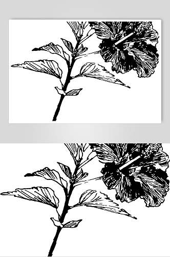 叶子手绘根茎线稿植物矢量素材