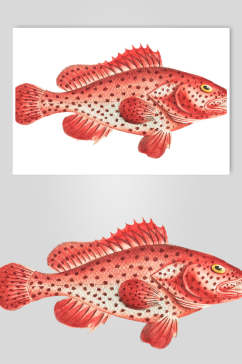 红色复古鱼类矢量素材