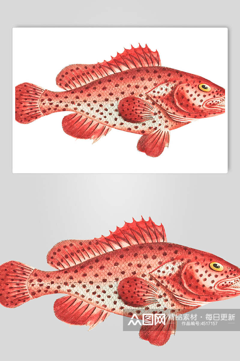红色复古鱼类矢量素材素材