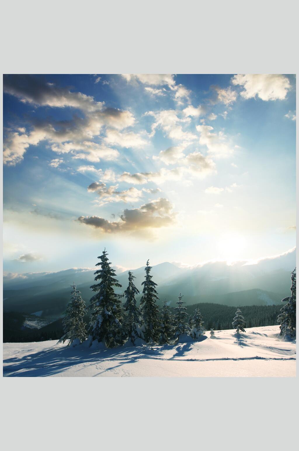 阳光冬季雪景自然风光图片素材