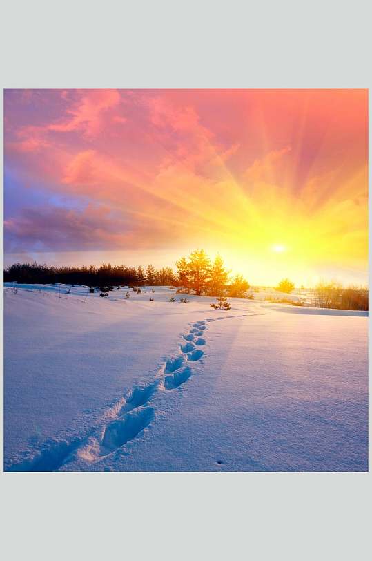 雪地阳光冬季雪景自然风光图片