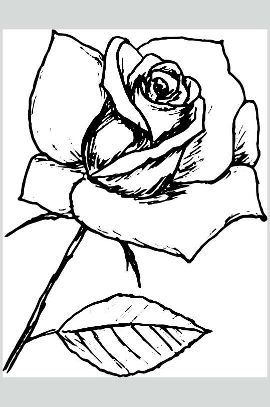 叶子手绘玫瑰线稿植物矢量素材
