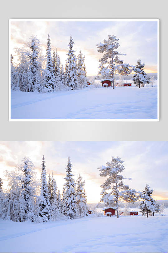 树林房屋冬季雪景自然风光图片
