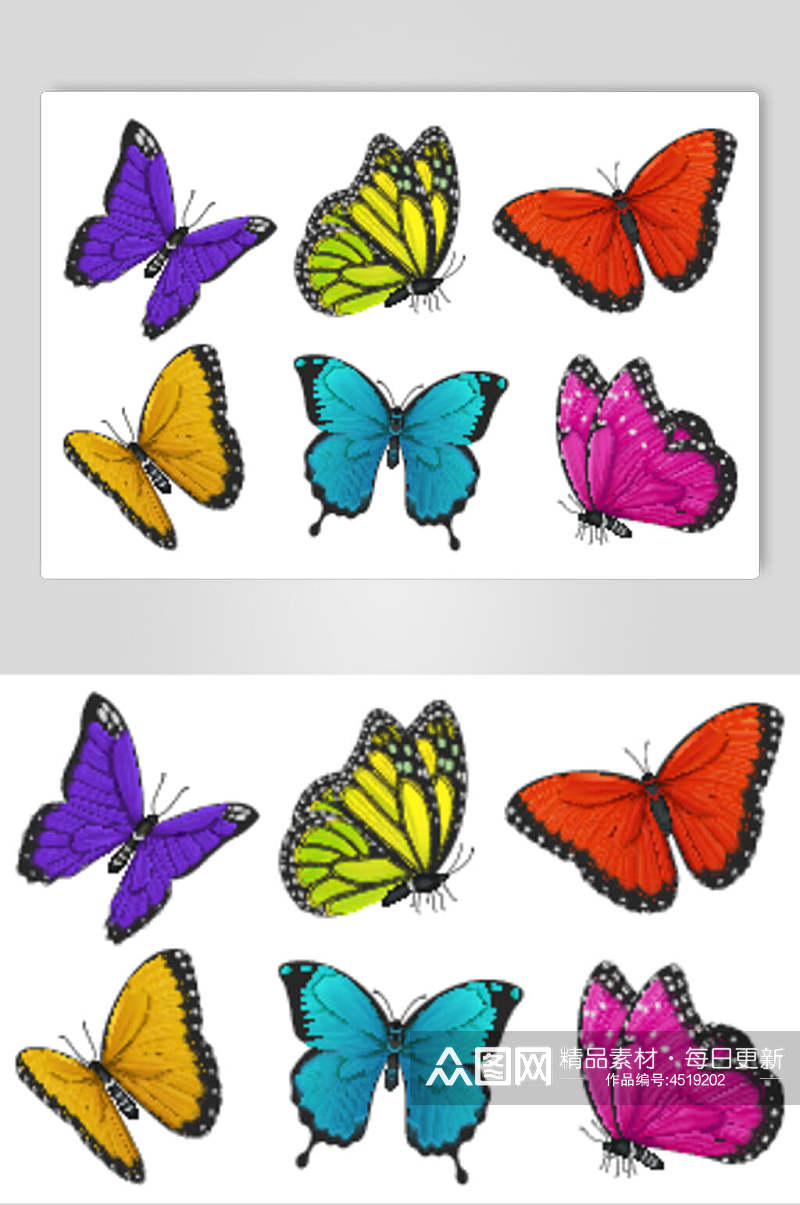 彩色简约创意手绘美丽蝴蝶矢量素材素材