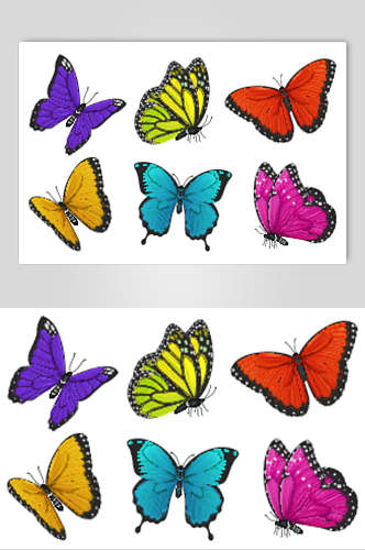 彩色简约创意手绘美丽蝴蝶矢量素材