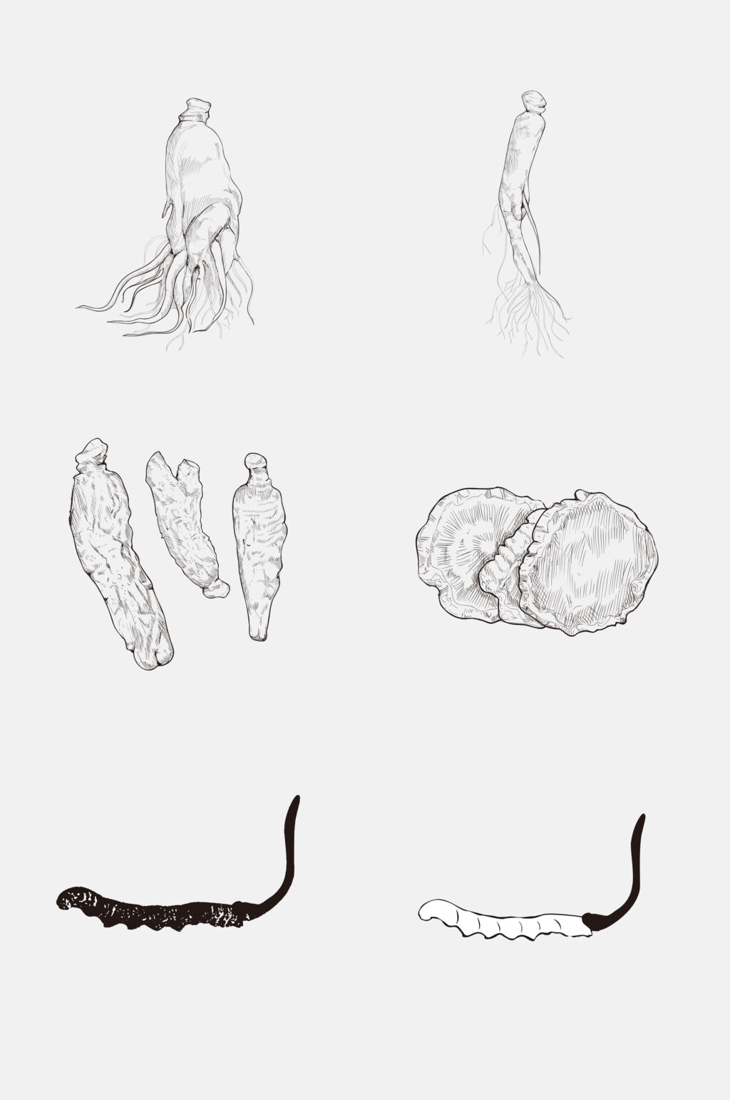人参手绘灰色线稿植物免抠素材素材