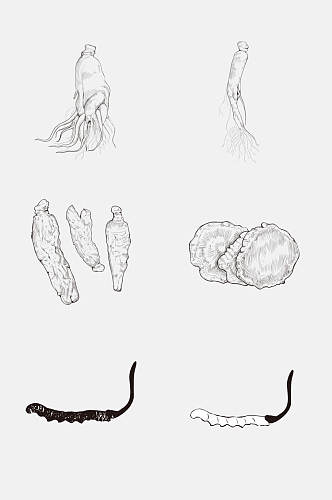 人参手绘灰色线稿植物免抠素材