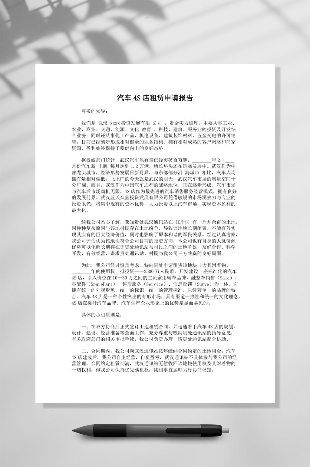 汽车4S店租赁申报报告v素材