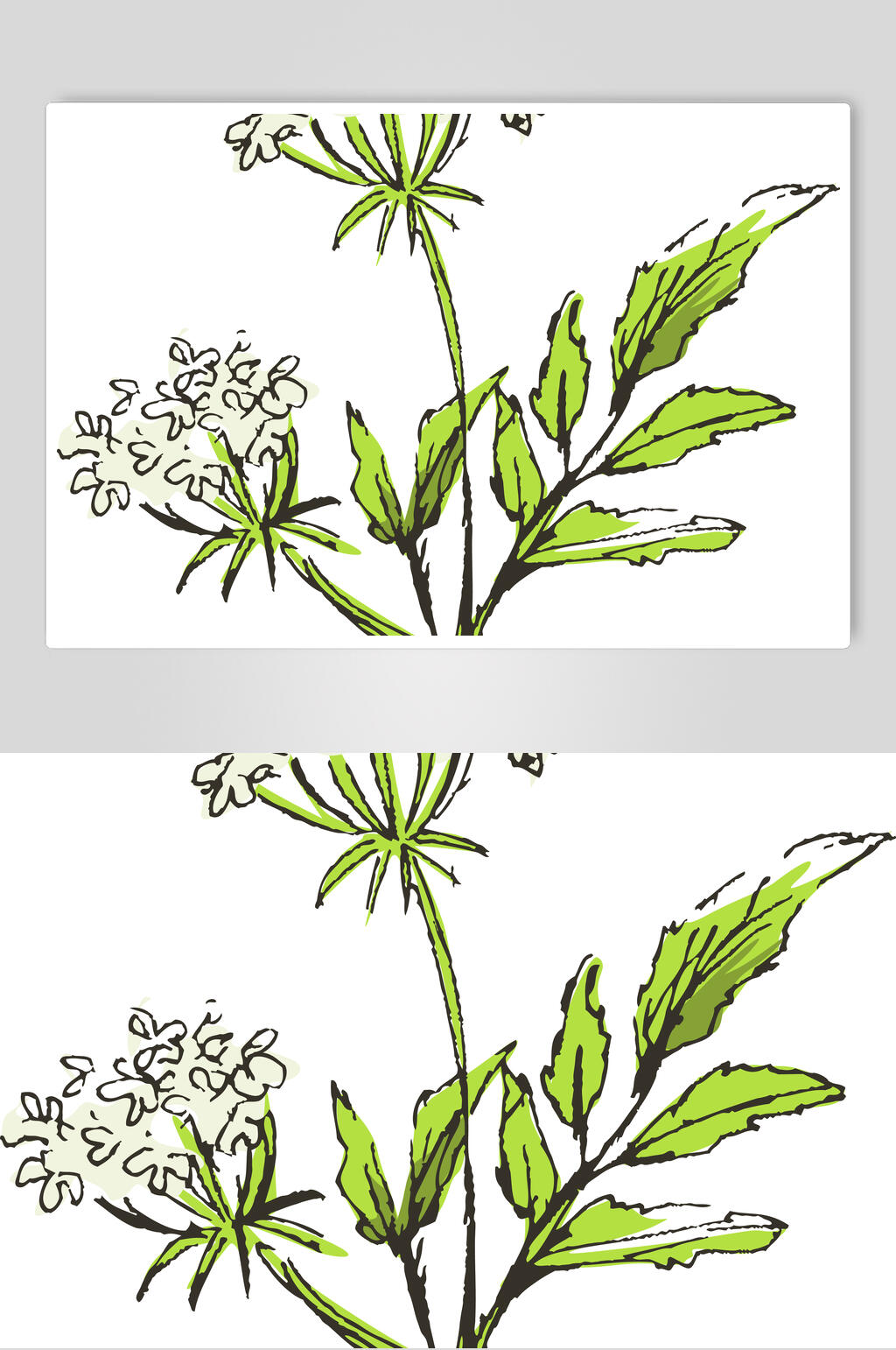 叶子清新线稿植物矢量素材素材