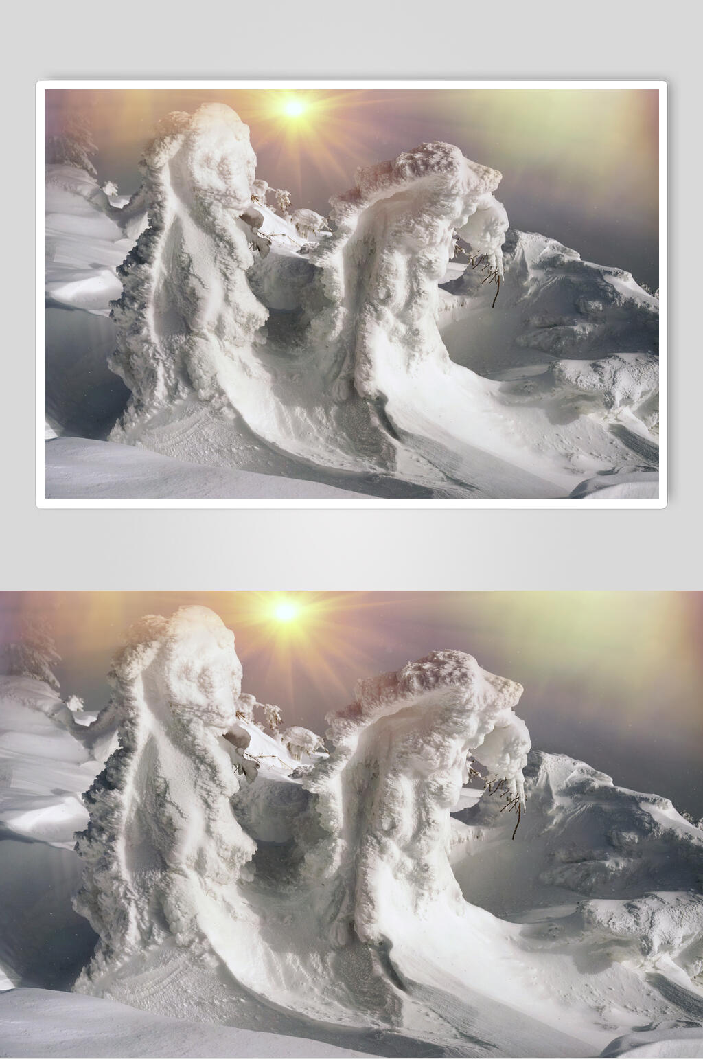 雪地雪花季雪景自然风光图片素材