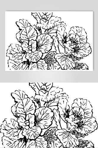 创意线条线稿植物矢量素材