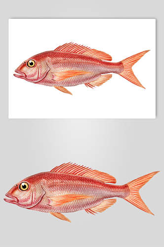 红色手绘清新创意复古鱼类矢量素材