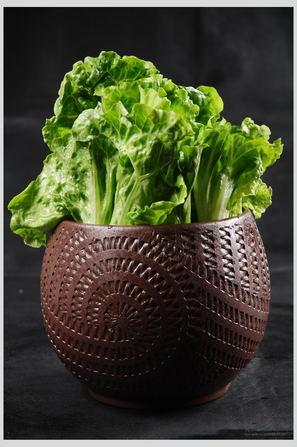 简约意大利生菜素材