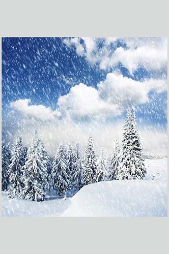童话森林冬季雪景自然风光图片