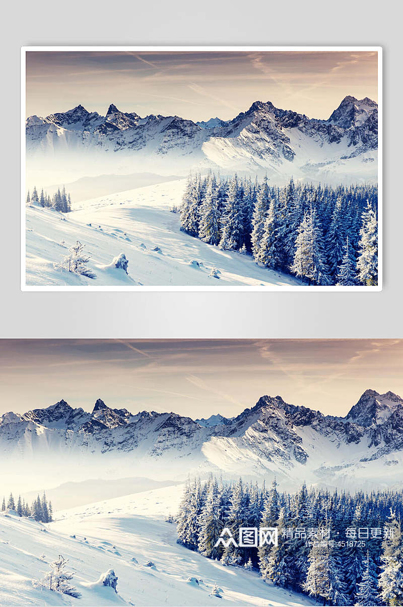近景树林冬季雪景自然风光图片素材