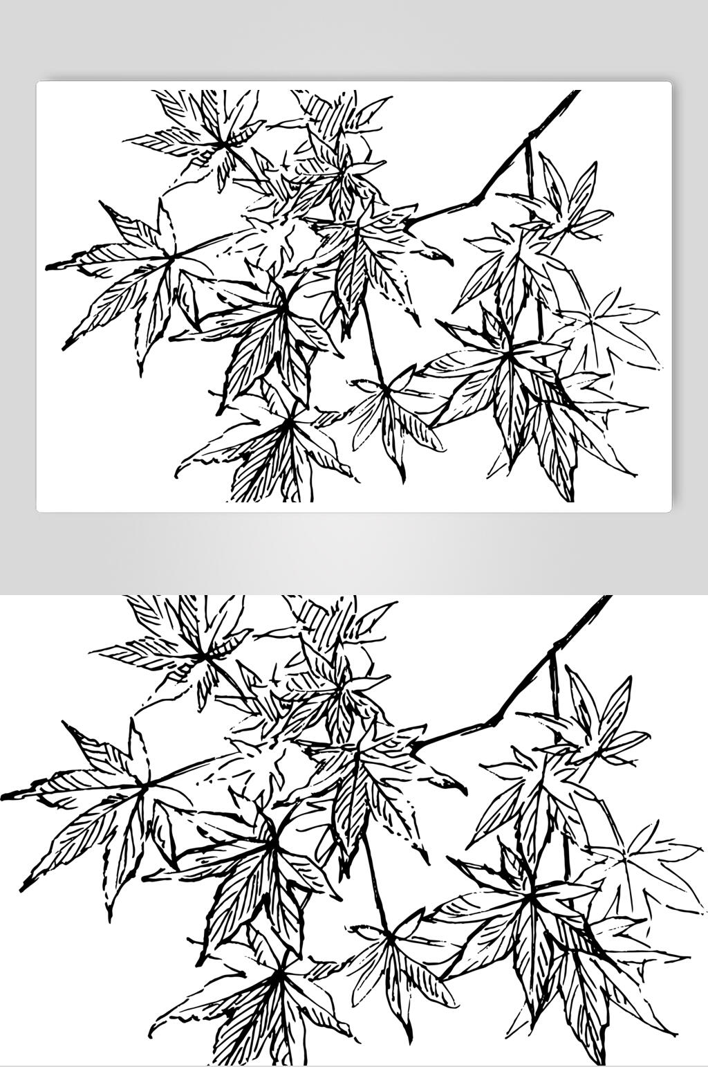 枫叶线稿植物矢量素材素材