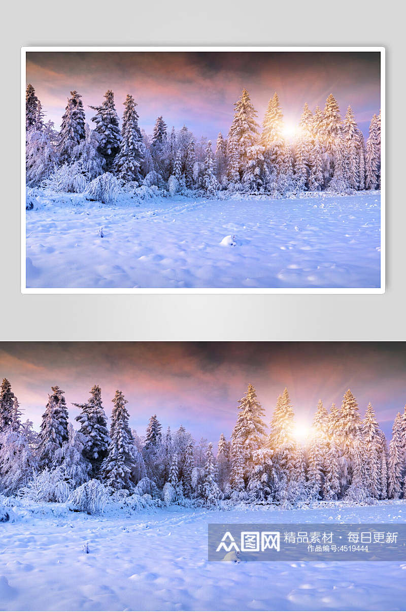 树林雪花冬季雪景自然风光图片素材