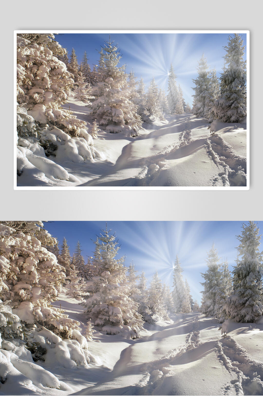 雪地雪花冬季雪景自然风光图片素材