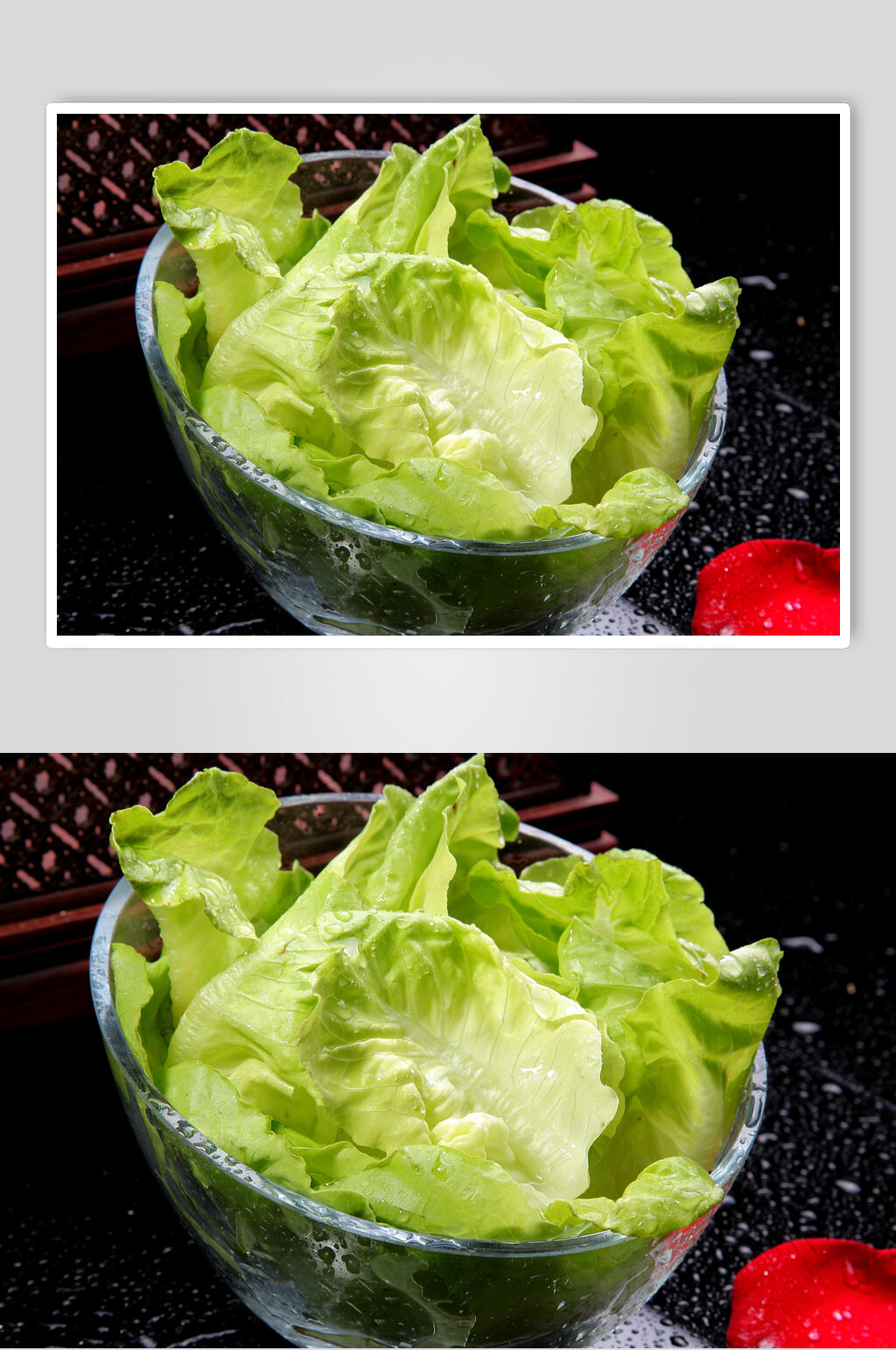 菜营养奶油生菜素材